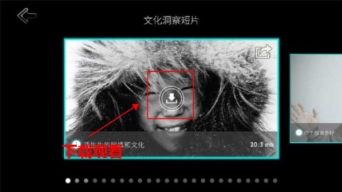 永不孤单 第2张图