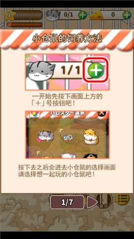 仓鼠生活 第1张图