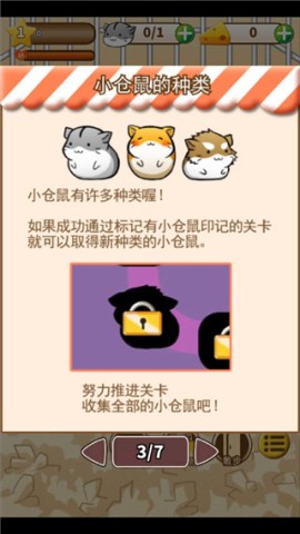 仓鼠生活 第3张图