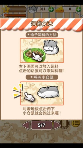 仓鼠生活 第5张图