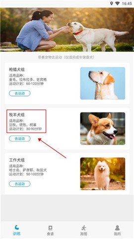 小兔乐跑 第2张图