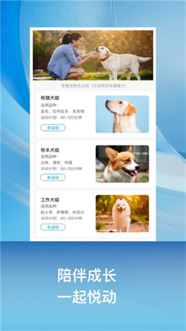 小兔乐跑APP