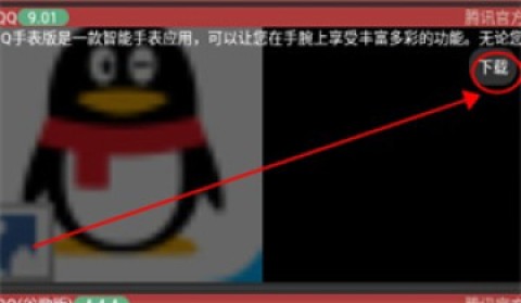莘应用 第4张图