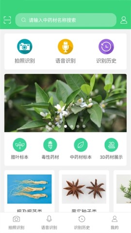 照药镜 第1张图