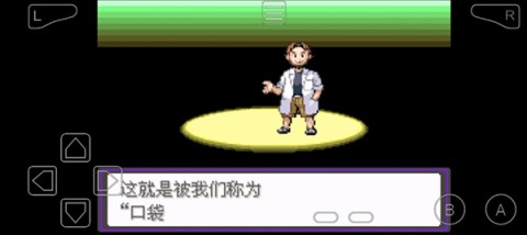 口袋妖怪漆黑的魅影5.0ex+bw游戏