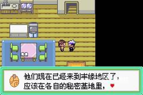 口袋妖怪漆黑的魅影5.0ex+bw 第2张图