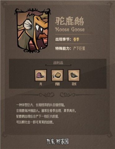 饥荒荒野 第1张图