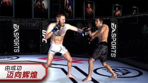 ufc4游戏