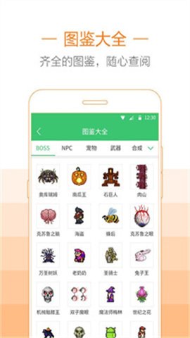 泰拉瑞亚助手游戏