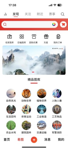 图王网 第2张图