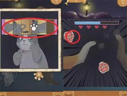 流浪的橘猫侠 第5张图
