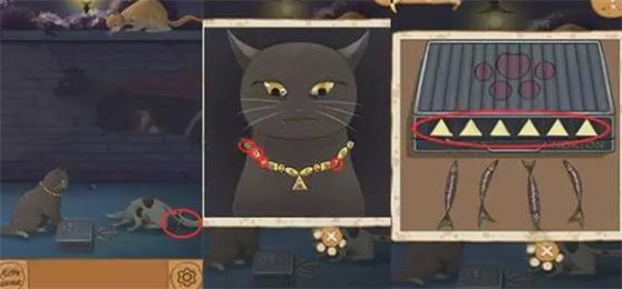 流浪的橘猫侠 第3张图