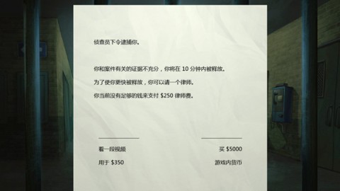 死无对证 第4张图