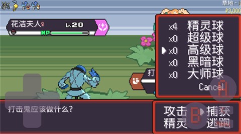 宝可梦肉鸽 第4张图
