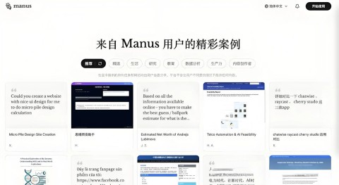 Manus 第6张图