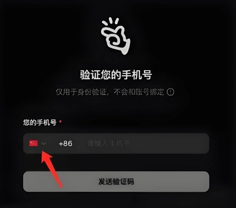 Manus 第9张图