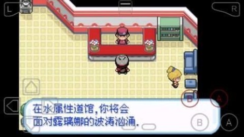 口袋妖怪剑盾10.2版本游戏