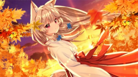 狐姬零 第2张图