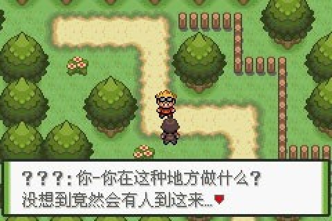 口袋妖怪釉色改版女神版游戏