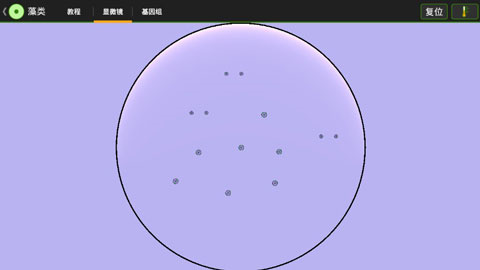 细胞实验室游戏