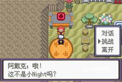 口袋妖怪漆黑的魅影 第14张图