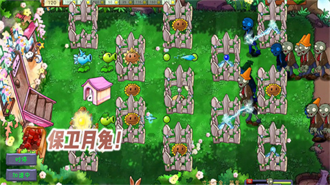 植物大战僵尸共生版 第5张图