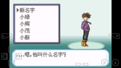 口袋妖怪圣灰游戏