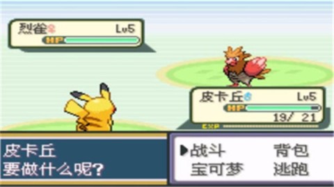 口袋妖怪圣灰游戏
