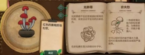 奇异园艺 第7张图