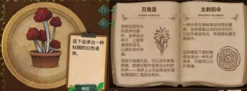 奇异园艺 第5张图