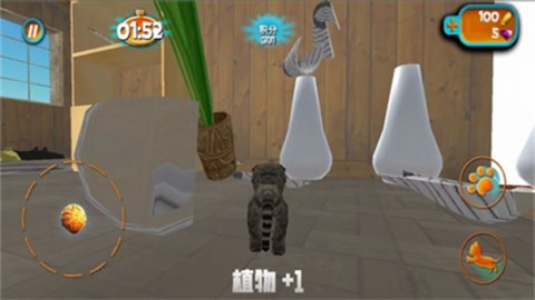 奶奶贴心小猫游戏