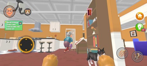 奶奶贴心小猫 第2张图