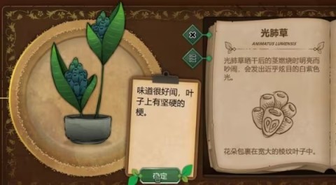 奇异园艺 第6张图