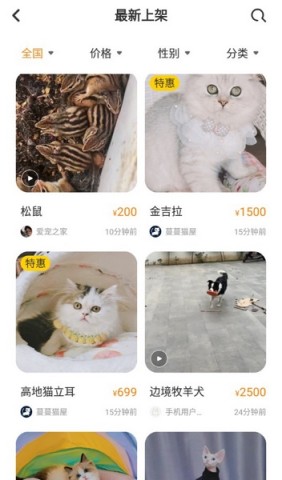 买只宠物 第3张图