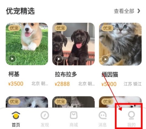 买只宠物 第4张图
