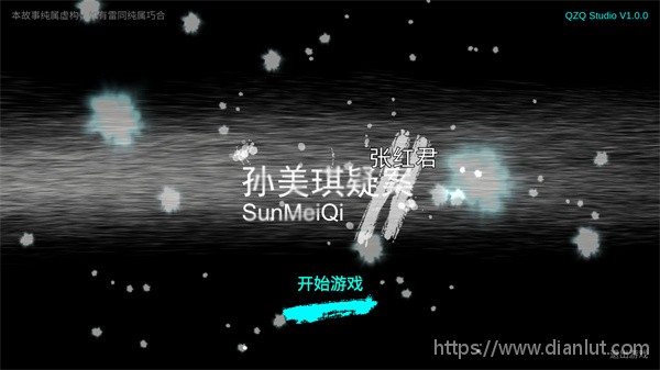 孙美琪疑案张红君游戏