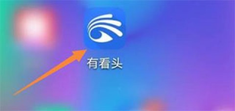 有看头监控 第1张图