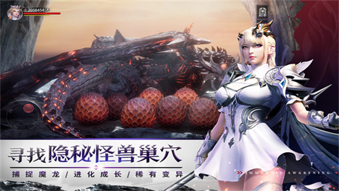 不朽觉醒游戏