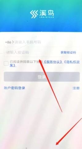 溪鸟 第2张图