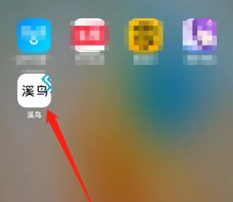 溪鸟 第1张图