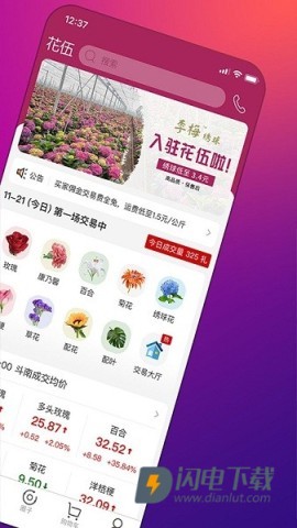 花伍 第2张图