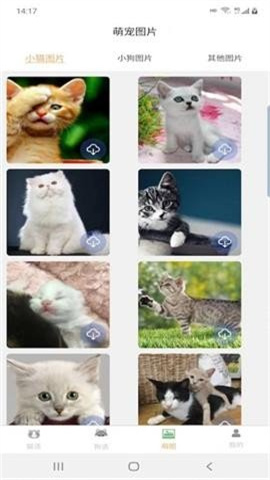 宠猫狗翻译 第1张图