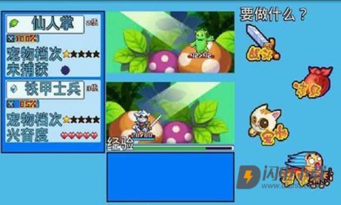 宠物王国5彩虹免费版游戏