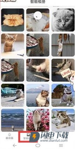 猫语狗语翻译器 第1张图