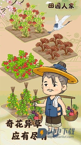 田园人家游戏