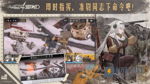雪松游戏