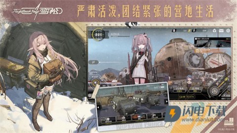 雪松游戏
