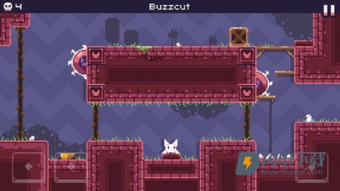飞天萌猫 第2张图