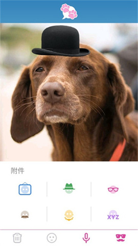 我的宠物会说话专业版 第3张图