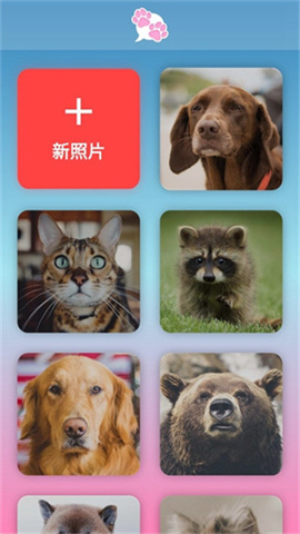 我的宠物会说话专业版 第1张图